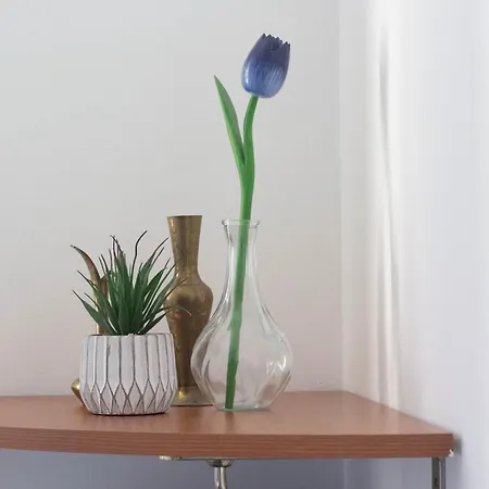 Sole E Colline Apartment