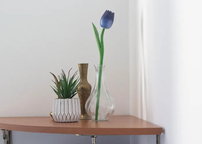 Sole E Colline شقة